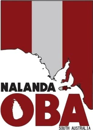 NOBA-SA website logo.